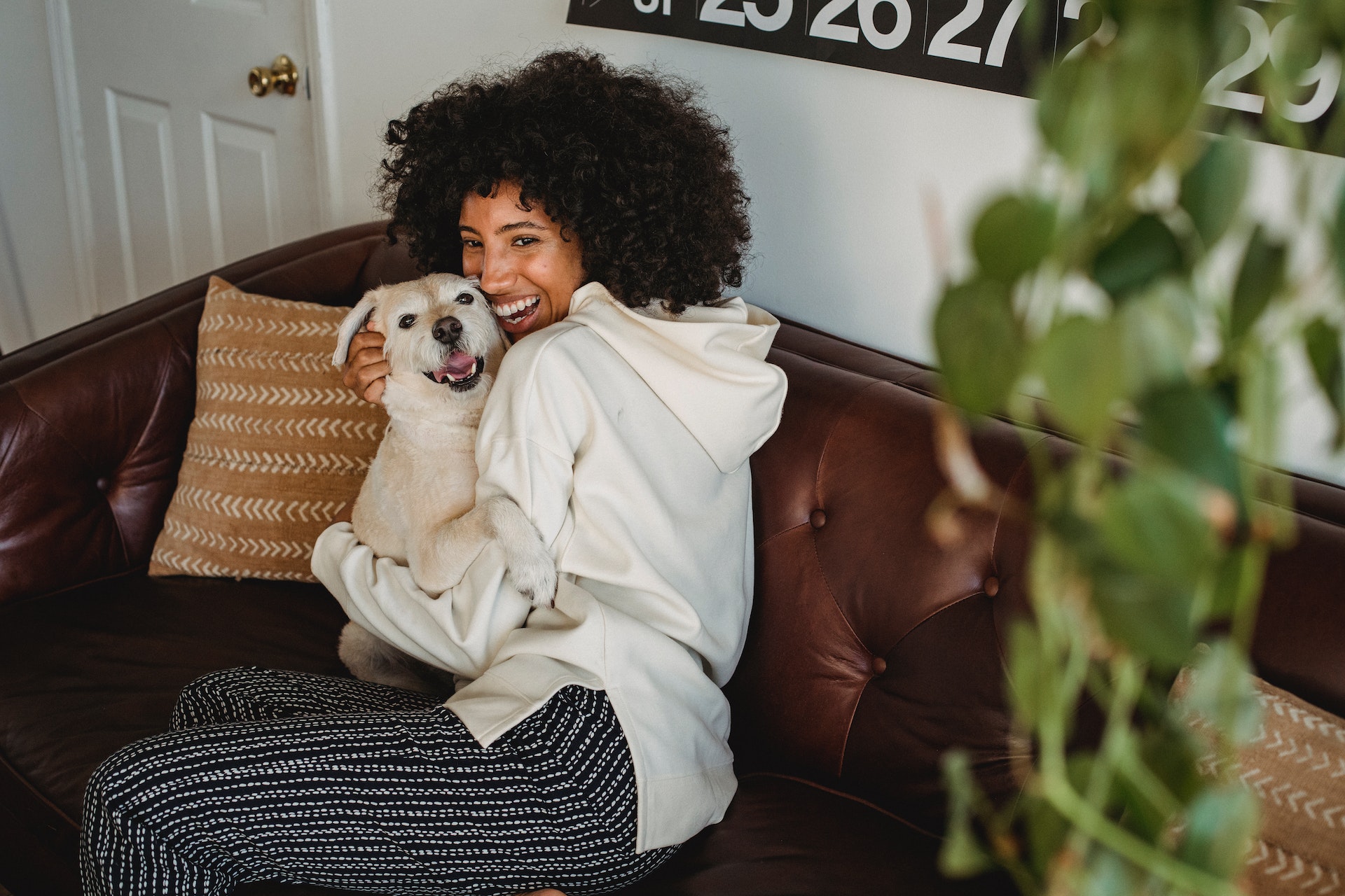 Prioritizing Your
                            Pet's Well-being